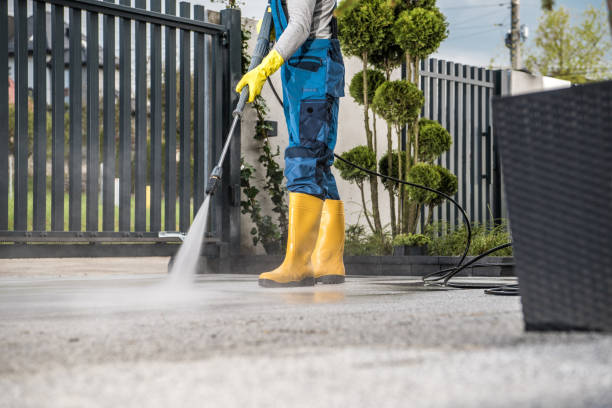 Best Window and Screen Pressure Cleaning in Hohenwald, TN