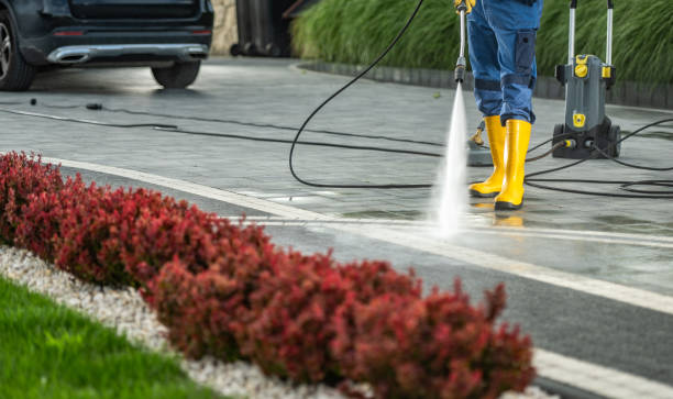 Best Vinyl Siding Pressure Washing in Hohenwald, TN